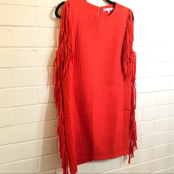 Bright Fringe Dress - Picture 6 of 16